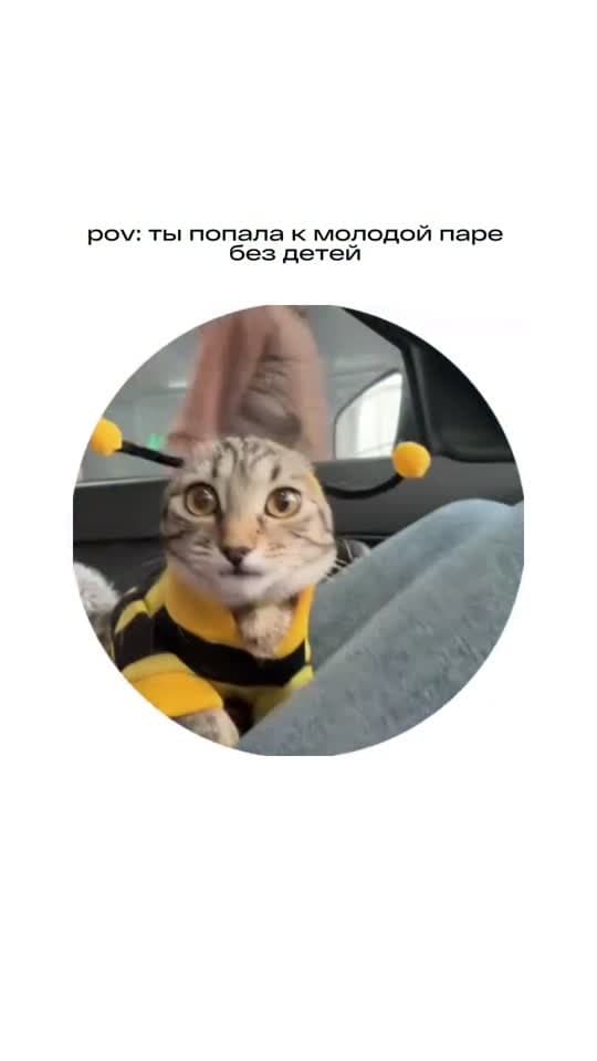 Полина Н — ролик 1